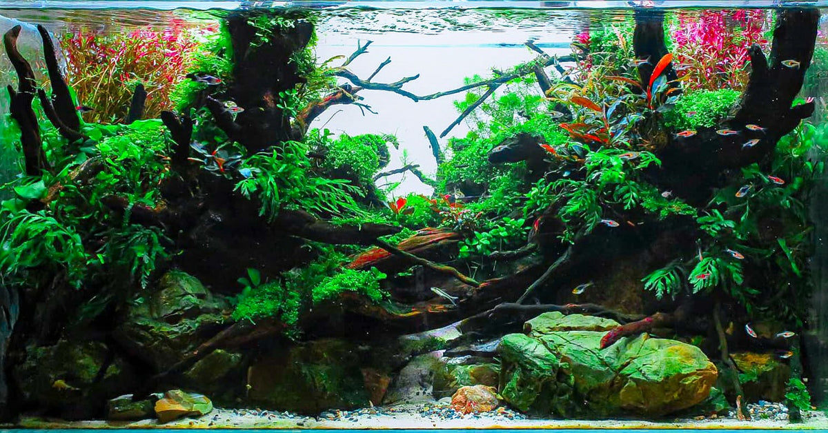 Instagram objava korisnika @jackfryerscapes