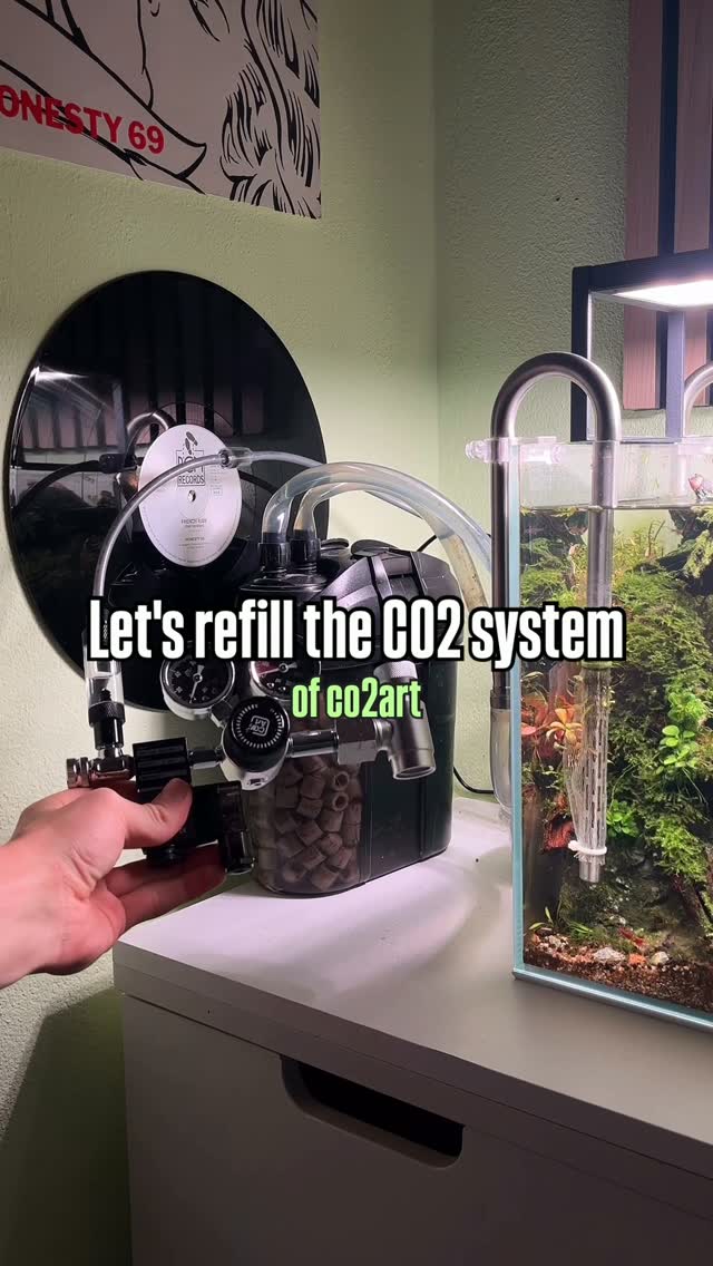 Instagram objava korisnika @jj.scaping.a