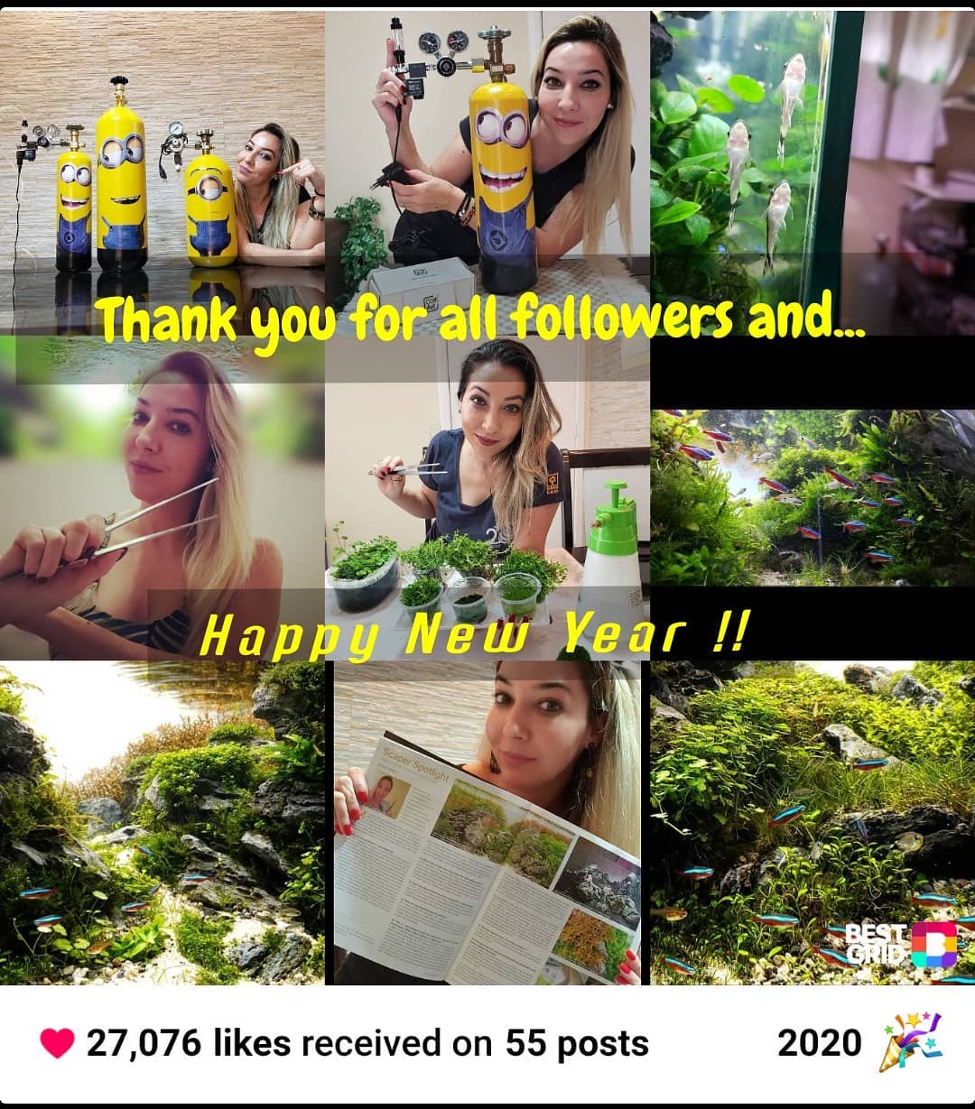 Instagram objava korisnika @bdpanaquafemale