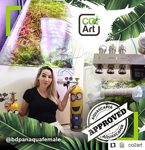Instagram objava korisnika @bdpanaquafemale