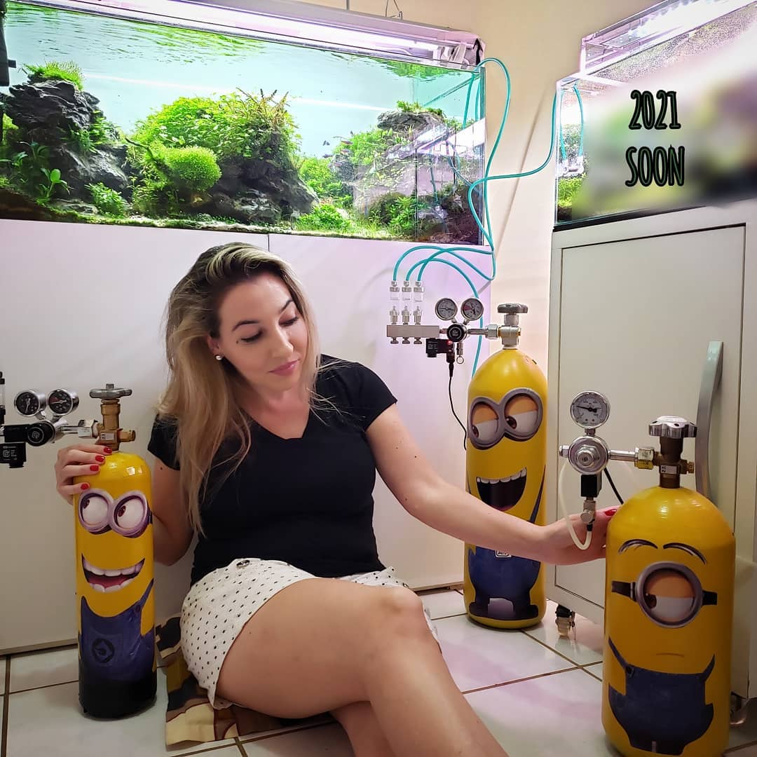 Instagram objava korisnika @bdpanaquafemale