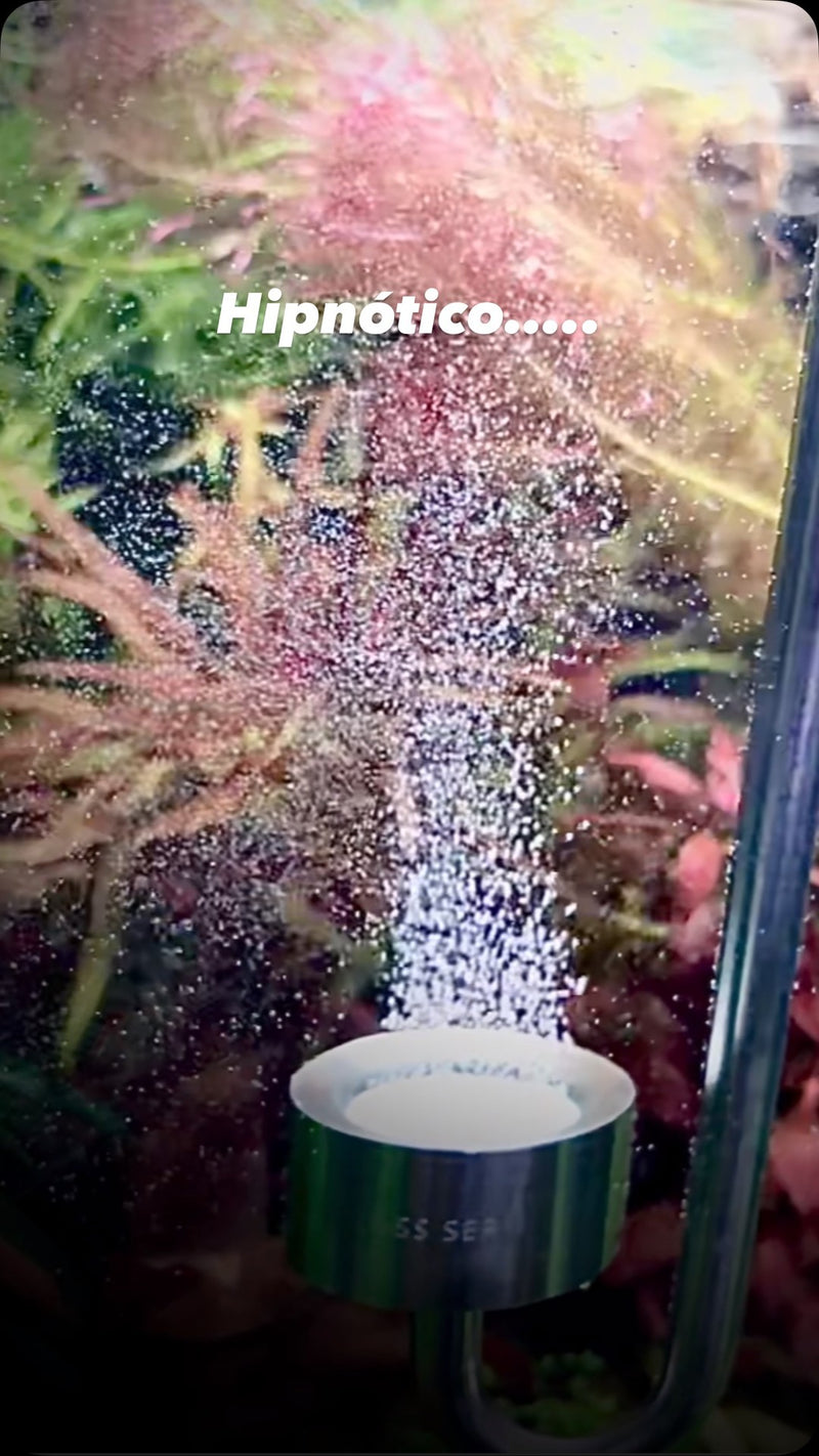 Instagram post by @charo.charo2
