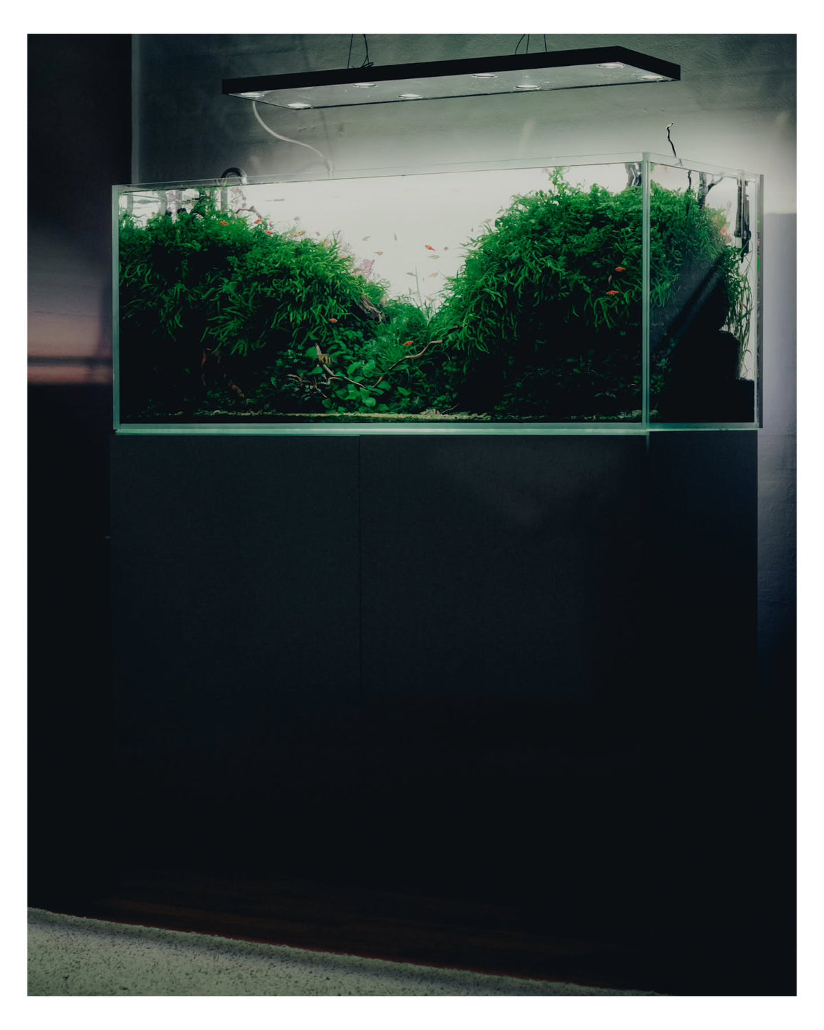Instagram objava korisnika @dnoerholm
