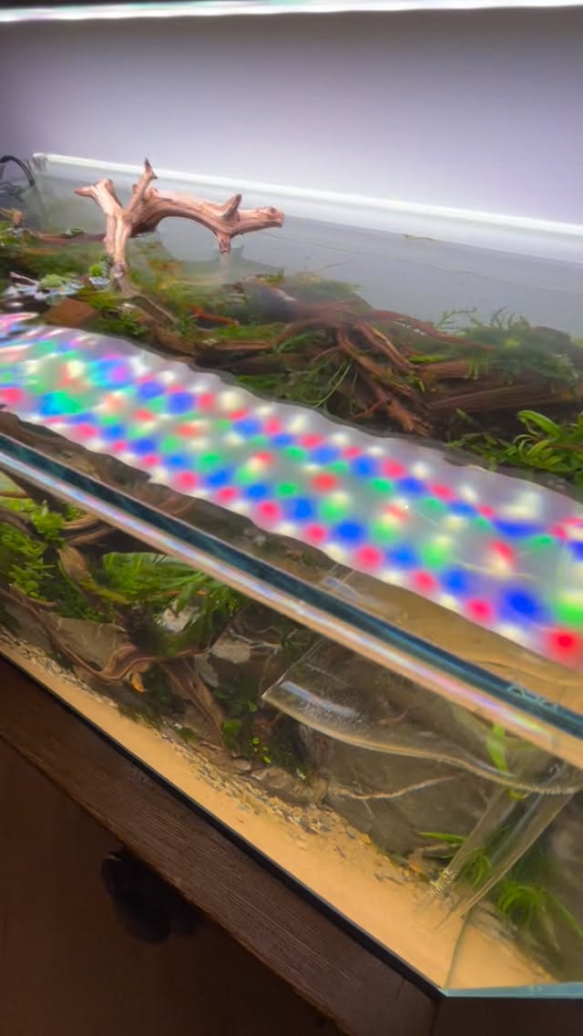 Instagram objava korisnika @aquatikswe