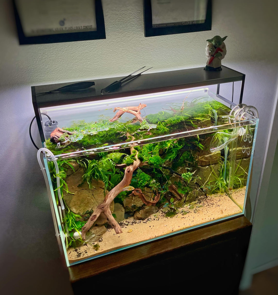 Instagram objava korisnika @aquatikswe