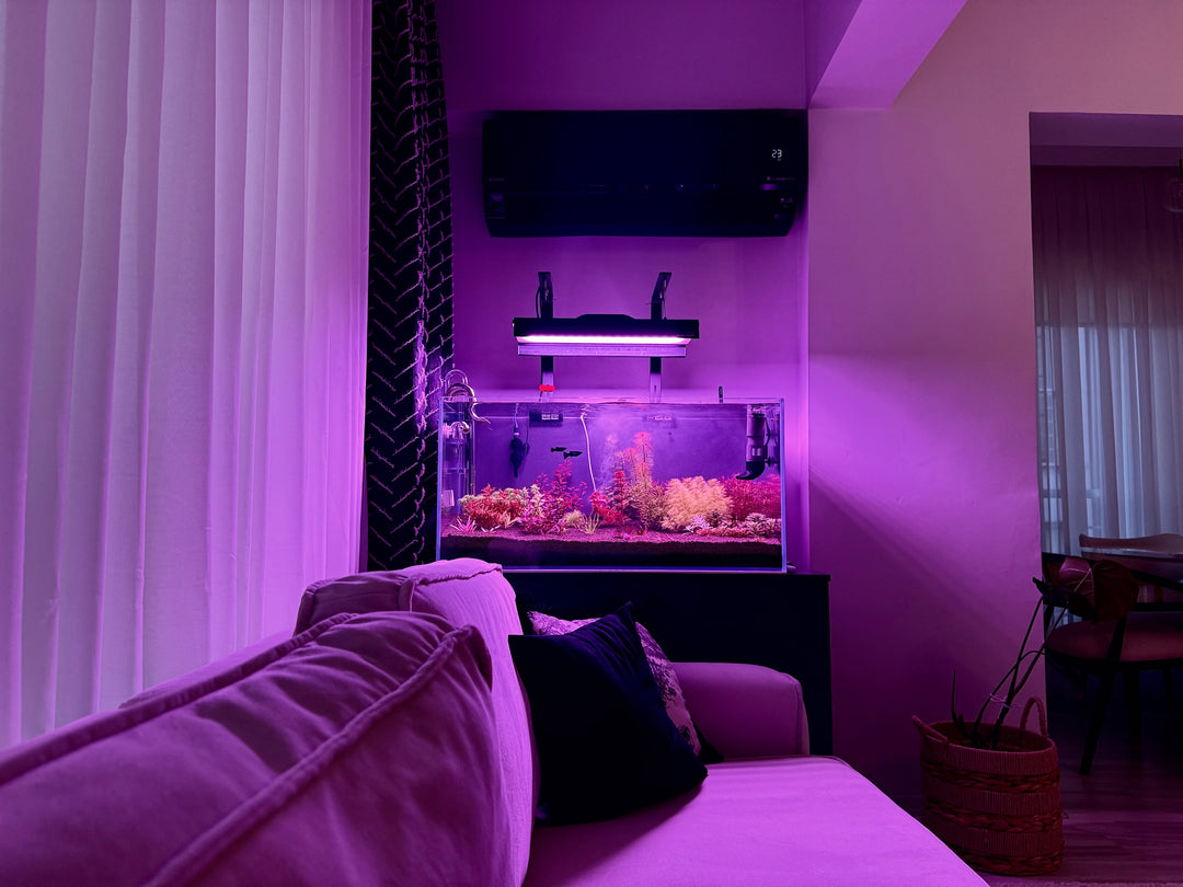 Instagram objava korisnika @planted.aquarium.studio