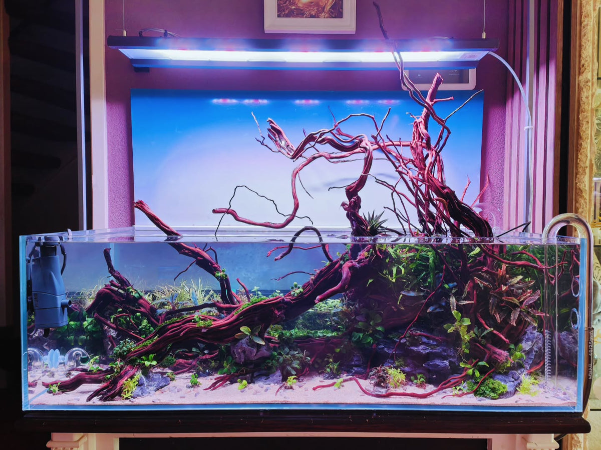 Instagram objava korisnika @aquascapebarendrecht