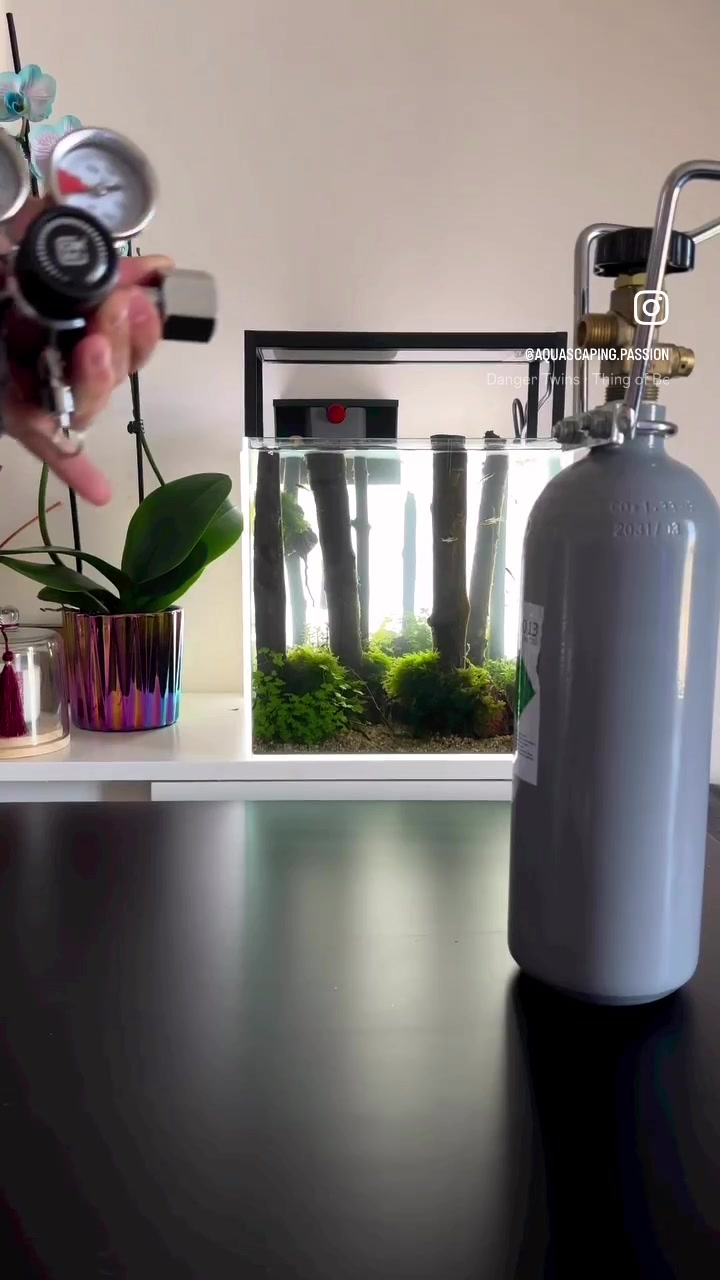 TikTok video korisnika @aquascaping.passion