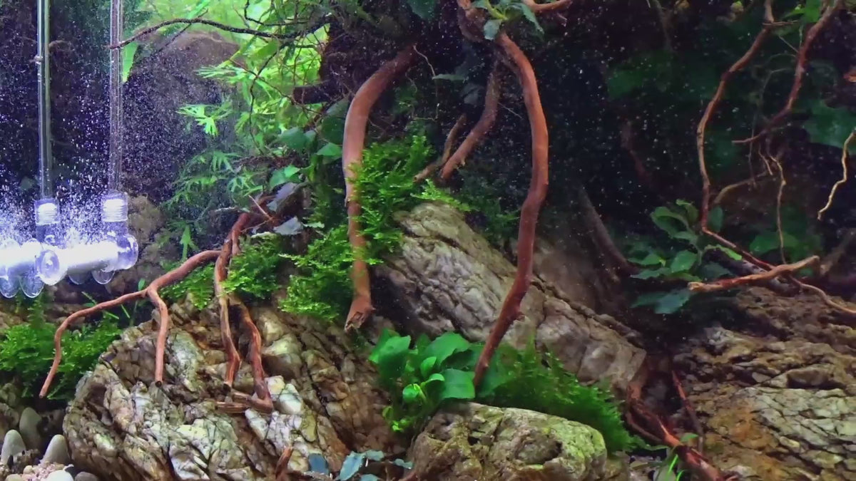Učitaj video: Bubbles like dust: Bazooka in-tank and inline diffusers turn CO2 into a fine mist